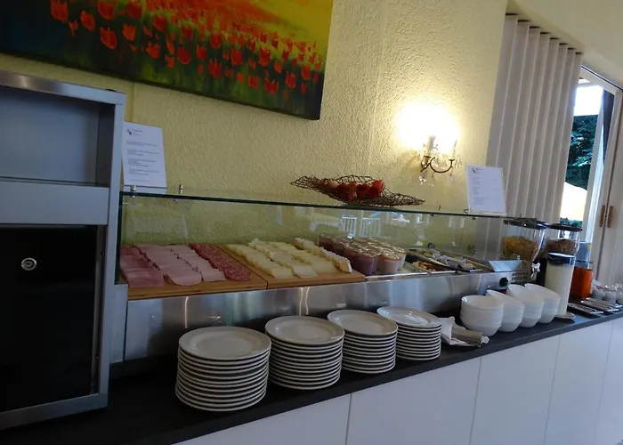 Excelsior 3* Locarno