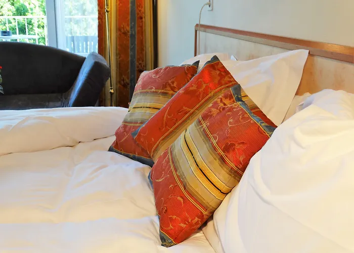 艾克塞西尔酒店 洛迦诺