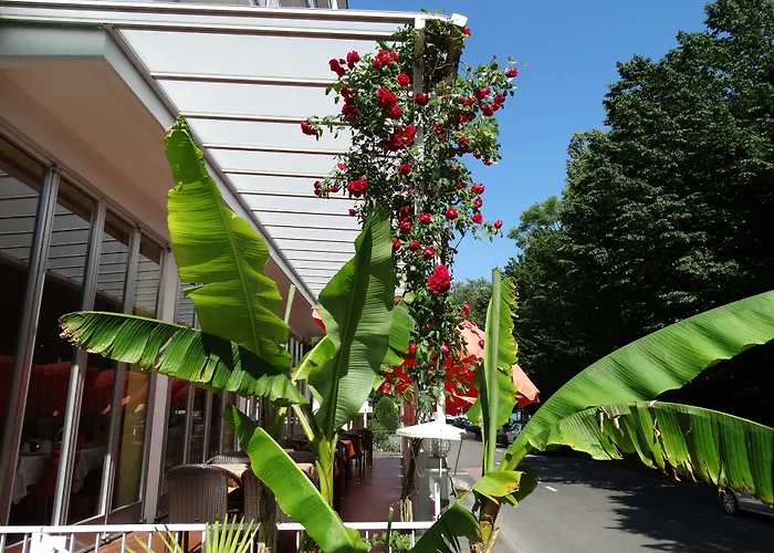 艾克塞西尔酒店 酒店